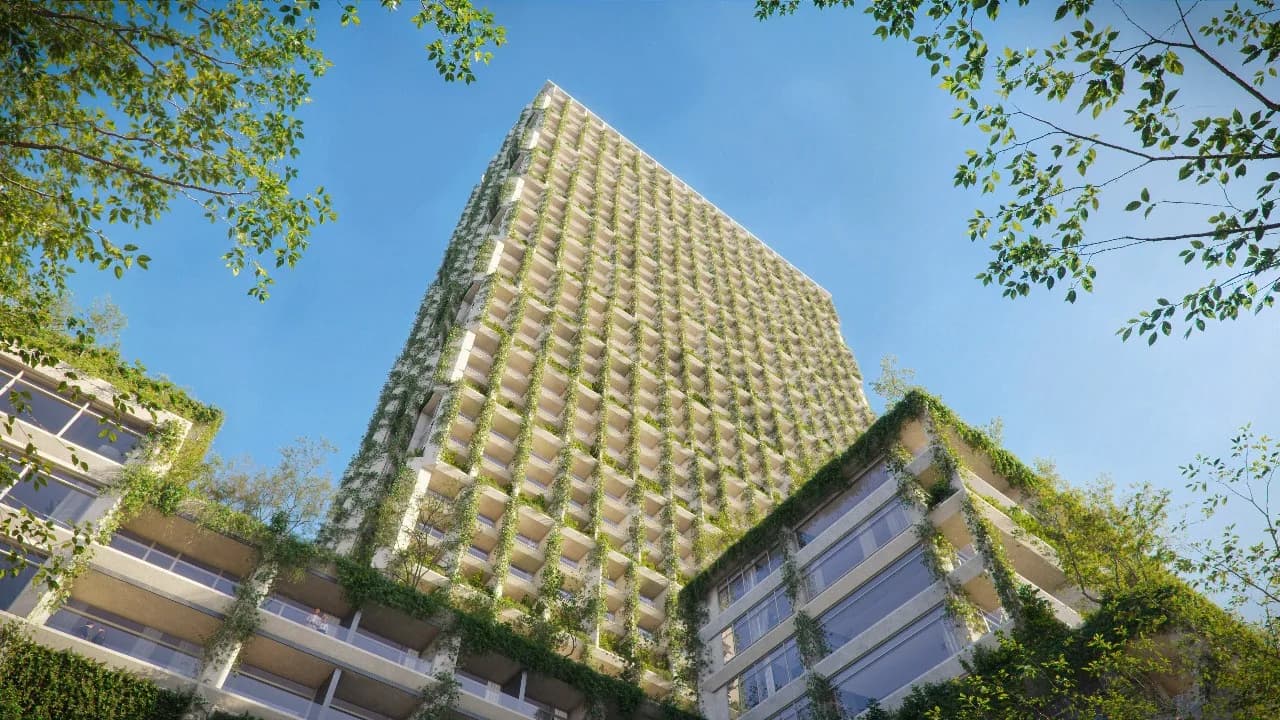 Silk Towers