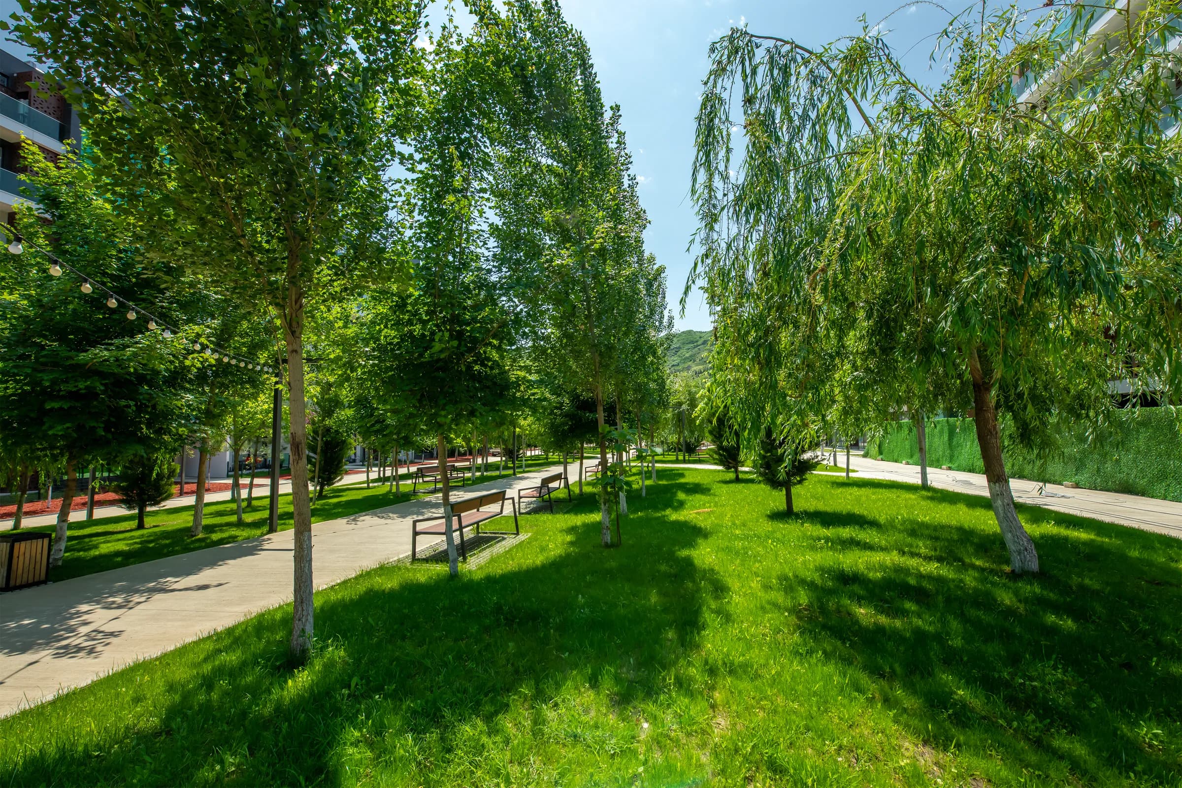 Krtsanisi Resort